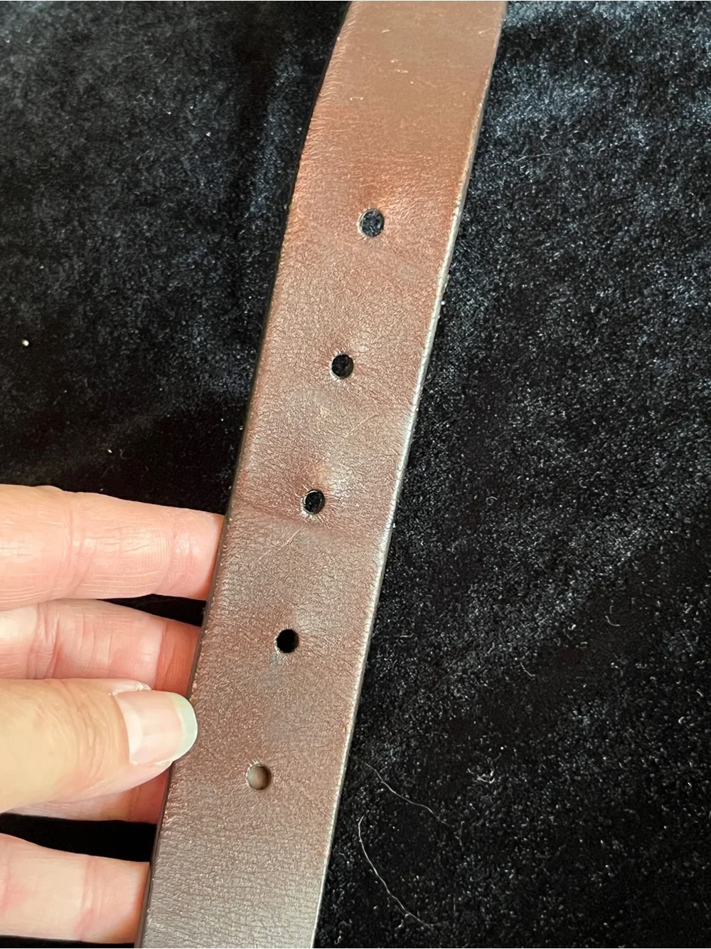 FSU SEMINOLES MEN'S COLLEGIATE LEATHER BELT ZEP PRO CASUAL BELT IN BROWN 48